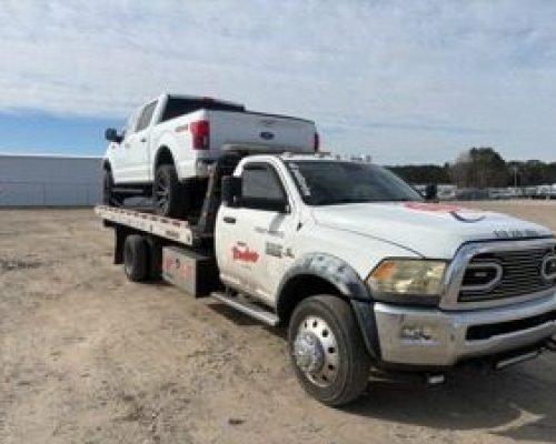 WhatsApp Image 2026-02-19 at 10.51.58 (2)