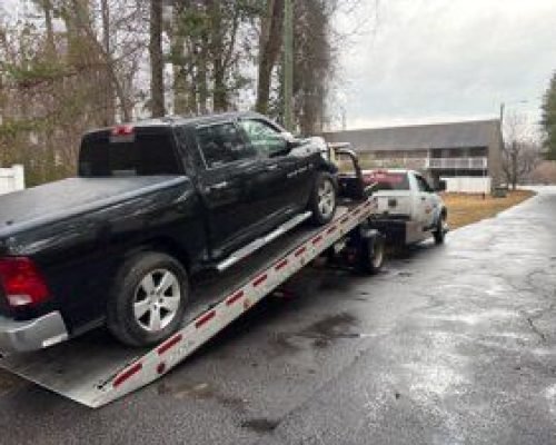 WhatsApp Image 2026-02-19 at 10.51.59 (2)